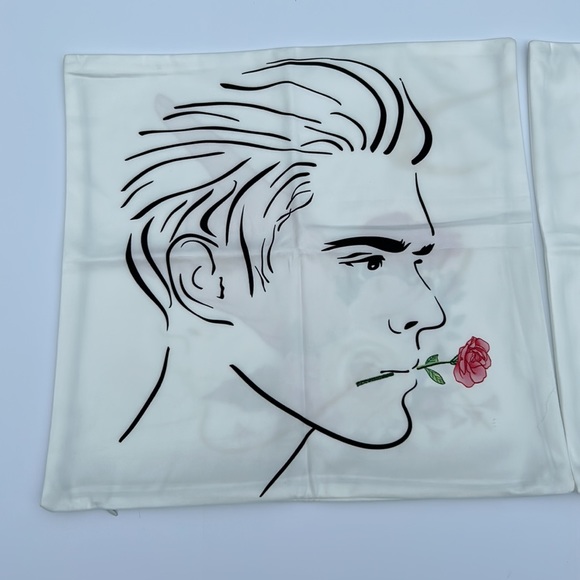 2 Piece Decorative Accent Pillow Covers - Picture 1 of 8